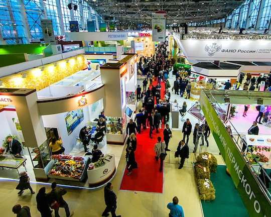 c383fb48e2e598c188f49155e0b2c1a2.jpg c383fb48e2e598c188f49155e0b2c1a2.jpg