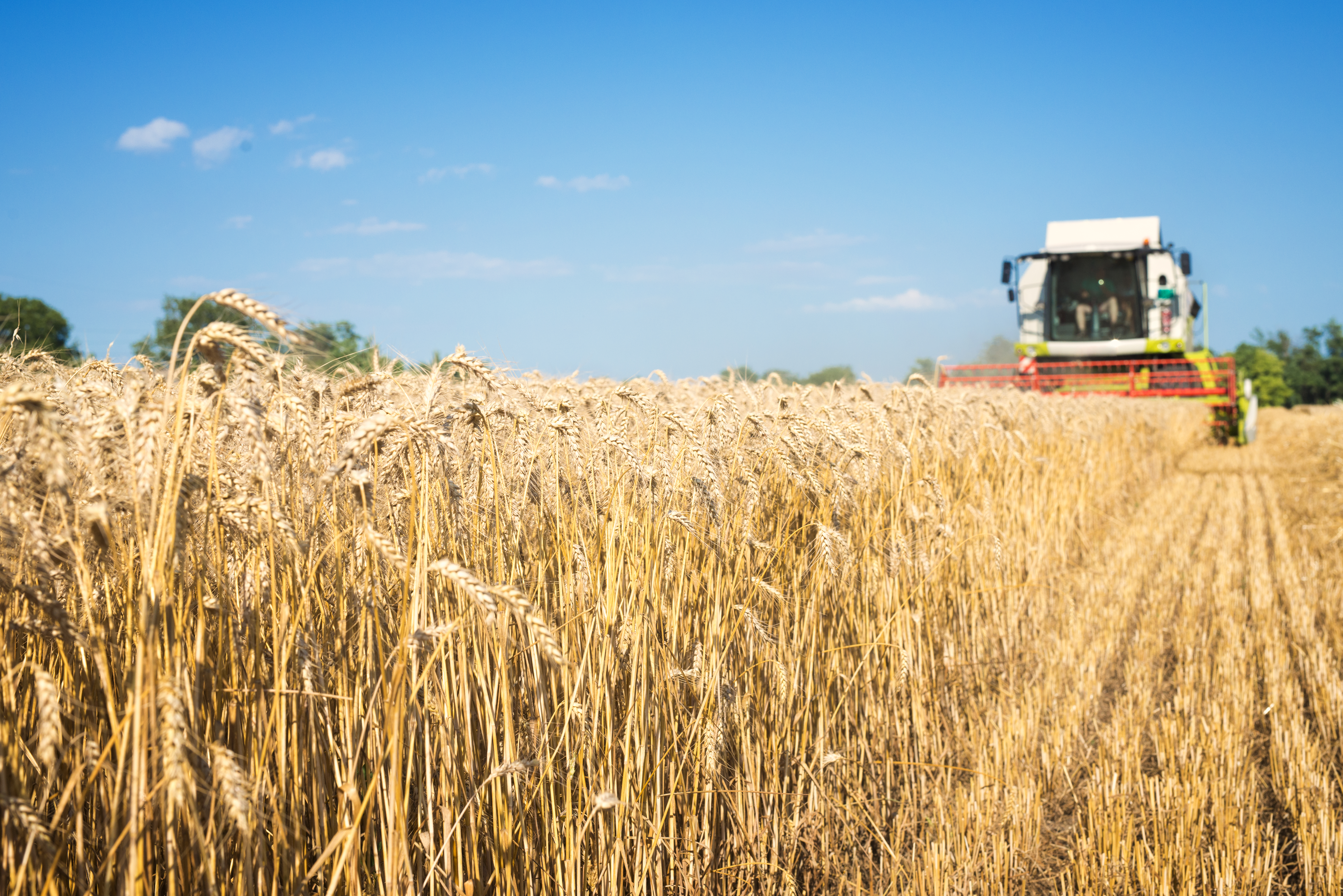 combine-harvester-working-wheat-field.jpg