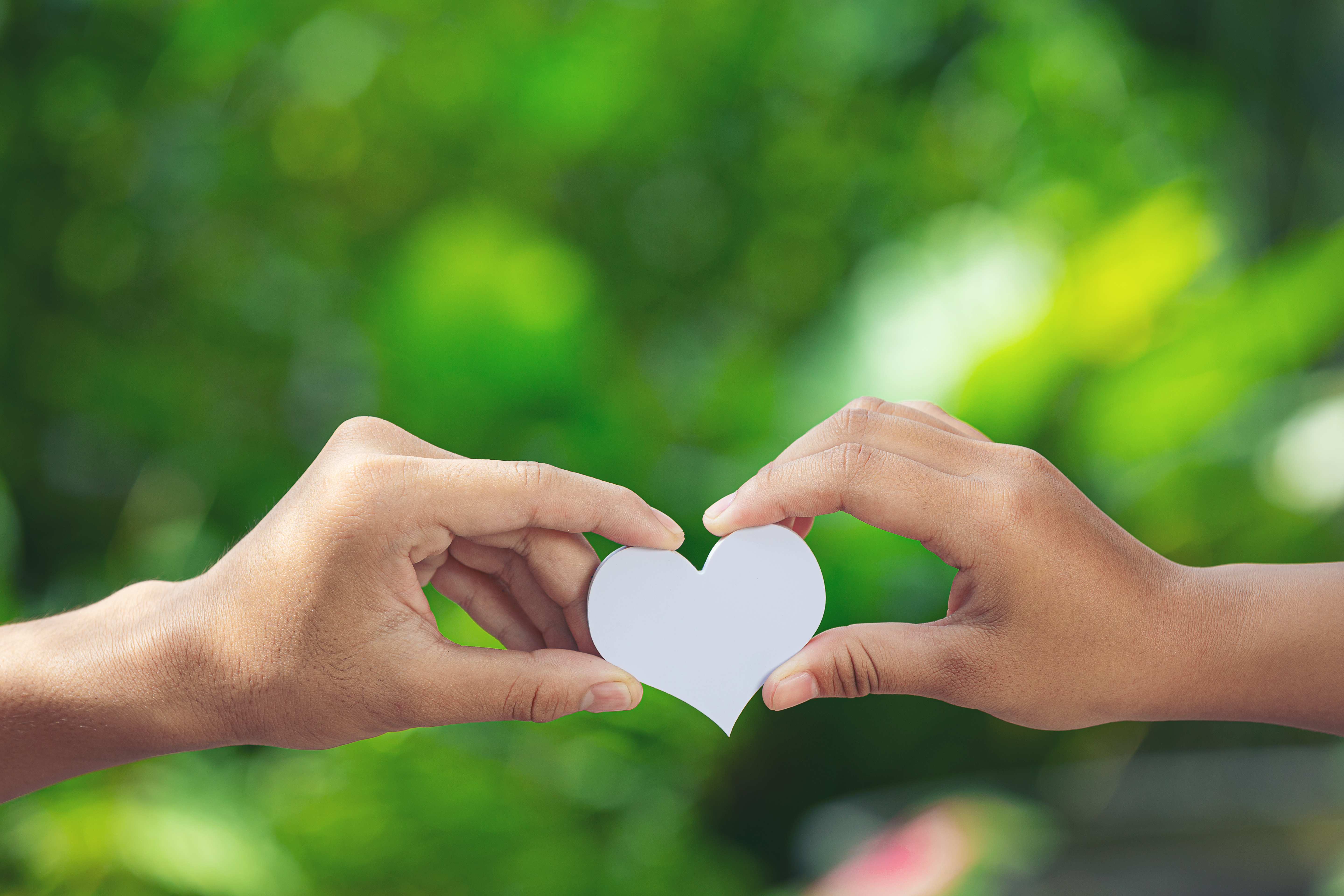 couple-holding-hands-green-meadow.jpg couple-holding-hands-green-meadow.jpg