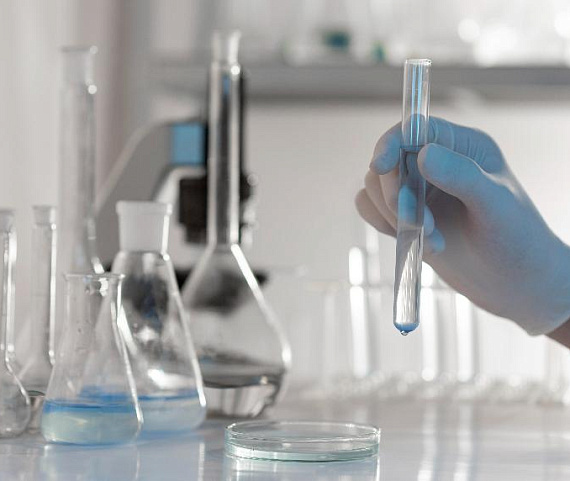 Грантовый конкурс проектов биоэкономики