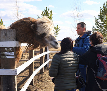 Центр «Мой бизнес» организовал инфотур для туроператоров по Еткульскому округу