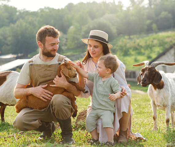 Центр «Мой бизнес» завершил приём заявок на акселератор «Готовый продукт» для объектов агротуризма