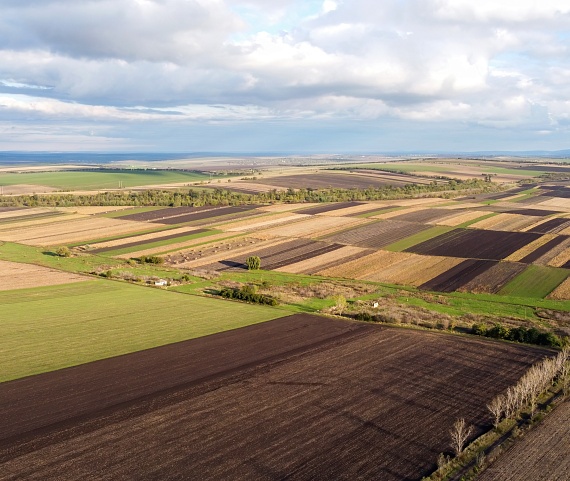 Малый и средний бизнес Челябинской области сможет арендовать земельный участок
